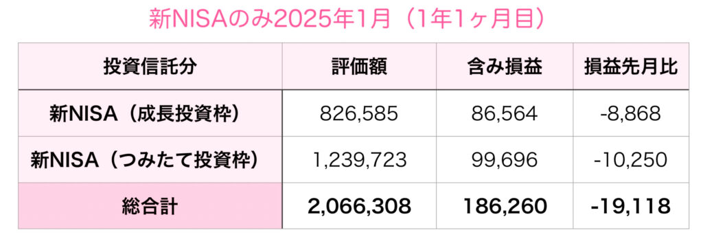 新NISA2025年1月