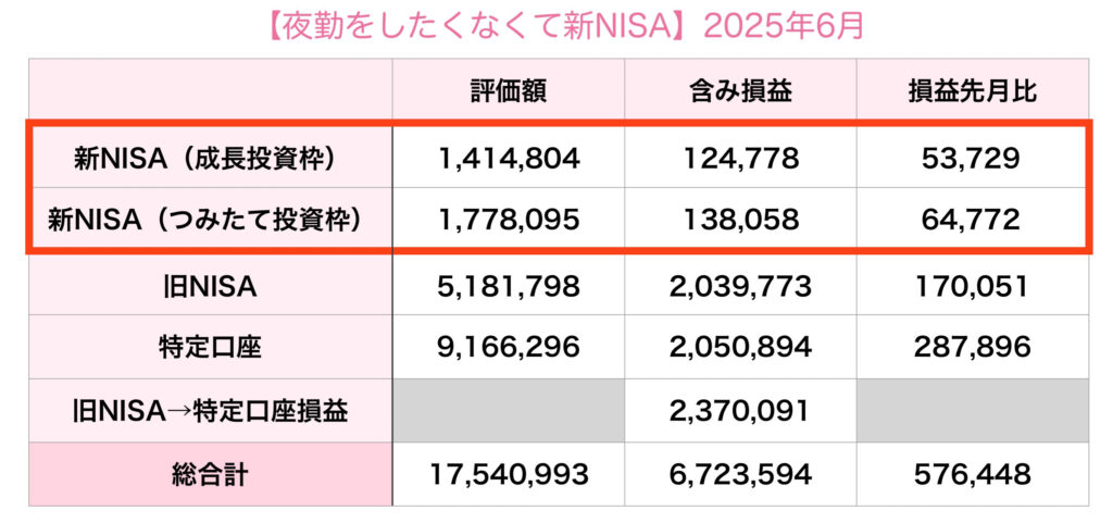 NISA2025年6月